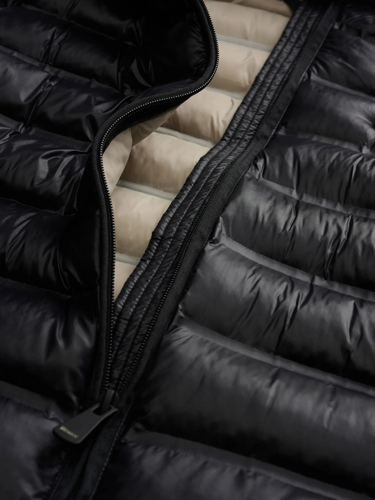 BLAUER ELLIS 26WBLDC02221-007284