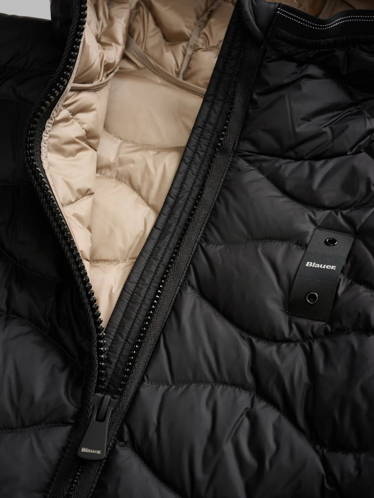 BLAUER CAMELIA 26WBLDC03033-006047